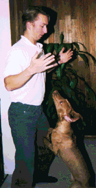 up!.gif (55038 bytes)