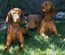 CAL12_6.jpg (73924 bytes)