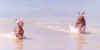 rmsuv9.jpg (27111 bytes)