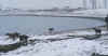 rmsuv9.jpg (44959 bytes)